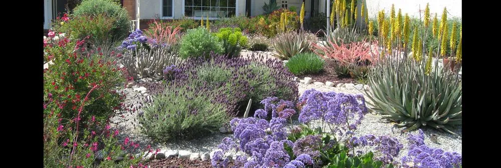 Professional landscaping services for residential properties across Ventura, CA - Urban Greening