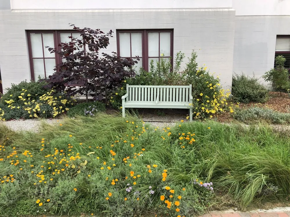 Affordable yard maintenance for outdoor upgrades in Ventura, CA by Urban Greening