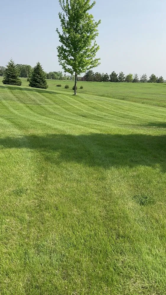 Professional lawn care service for homes in Coon Rapids, MN by Urban Grove Lawn and Landscape