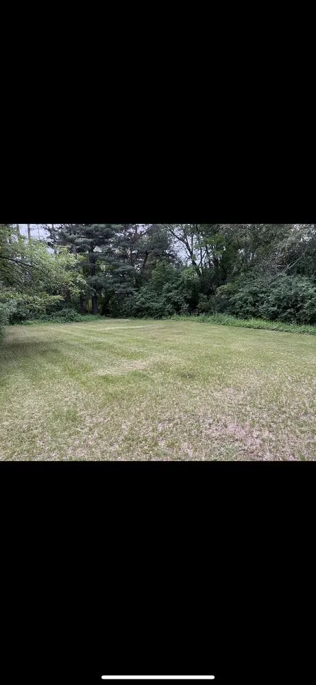 Professional residential landscaping in Coon Rapids, MN - Urban Grove Lawn and Landscape