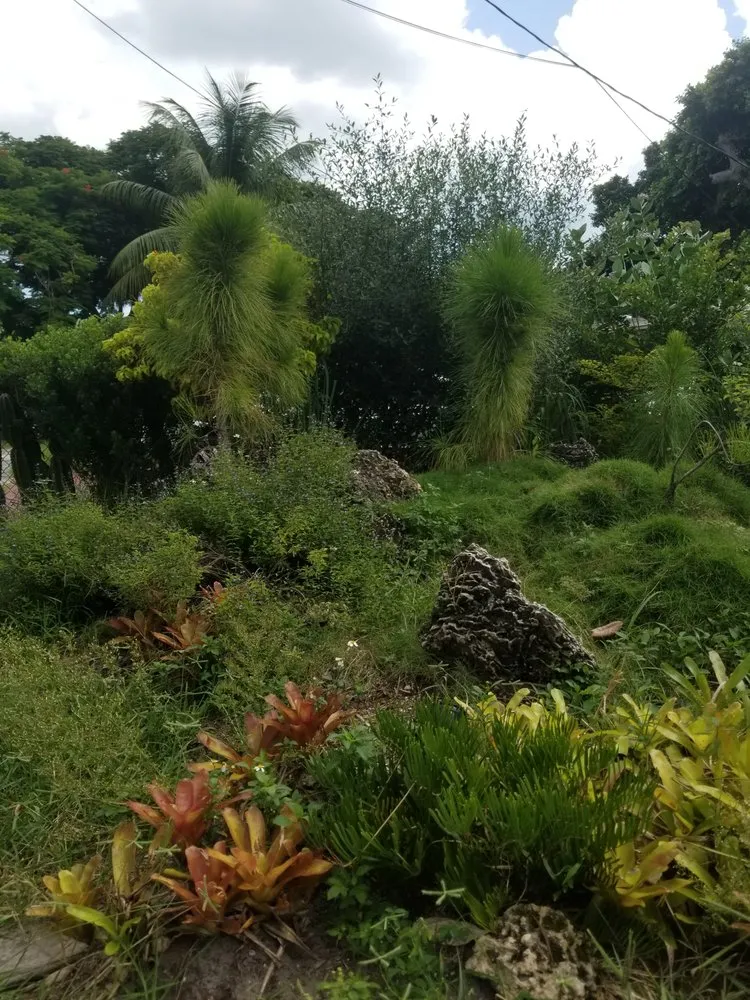 Expert residential landscaping in North Miami, FL by Urban Habitat