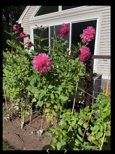 Local lawn mowing service for beautiful yards across Boston, MA - Urban Irrigation