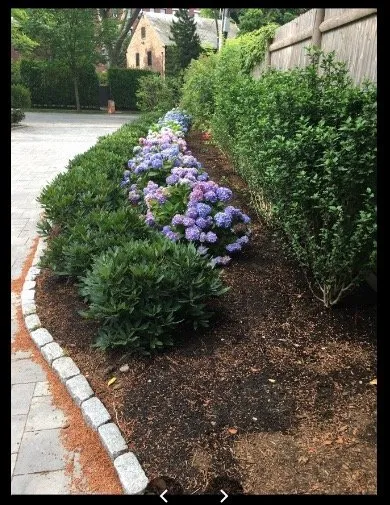 Affordable outdoor landscaping for residential properties across Boston, MA - Urban Irrigation