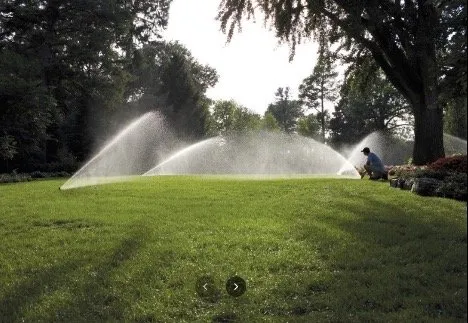 Expert yard cleanup service for homes across Boston, MA - Urban Irrigation