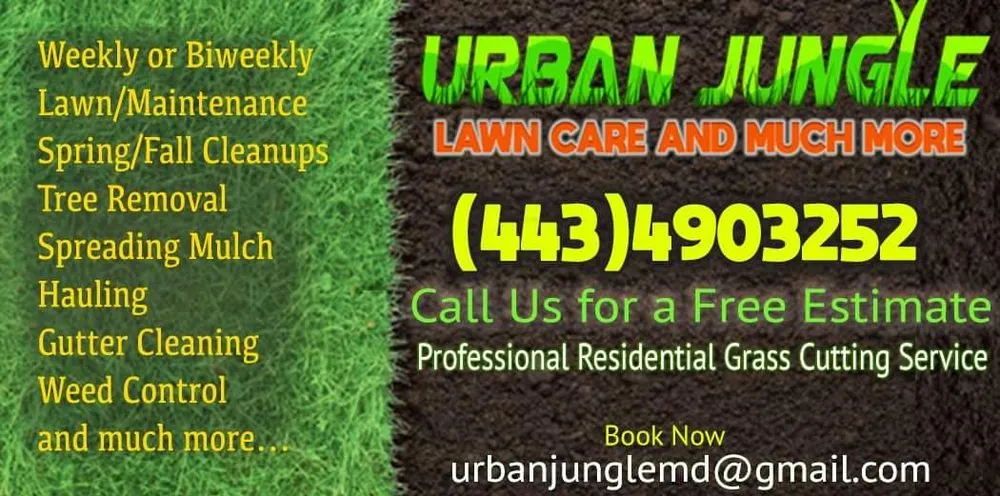 Custom landscaping services in Elkridge, MD - Urban Jungle
