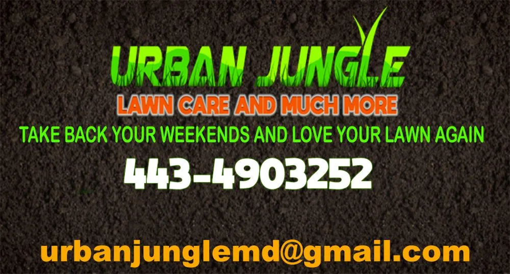 Affordable lawn care service in Elkridge, MD by Urban Jungle