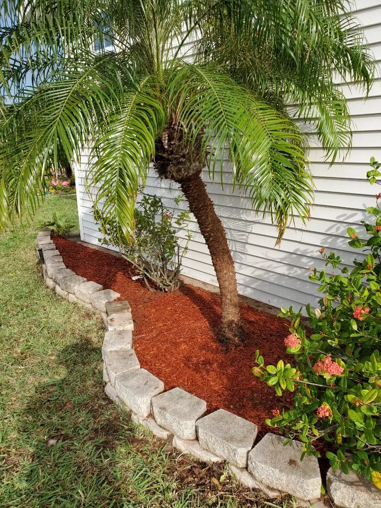 Expert landscape design in Port Isabel, TX by Urban Jungle Landscape Maintenance