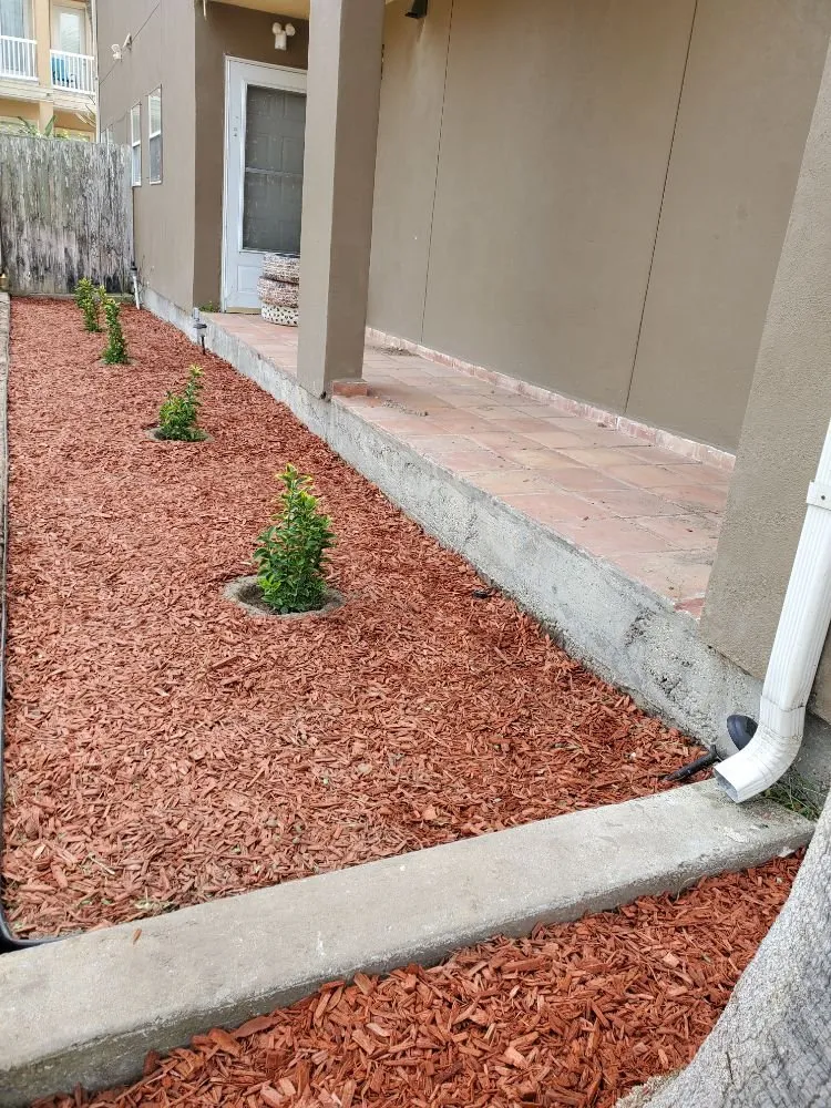 Trusted landscape installation for residential properties across Port Isabel, TX - Urban Jungle Landscape Maintenance