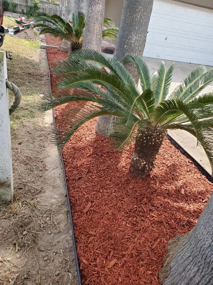 Custom residential landscaping for residential properties in Port Isabel, TX by Urban Jungle Landscape Maintenance