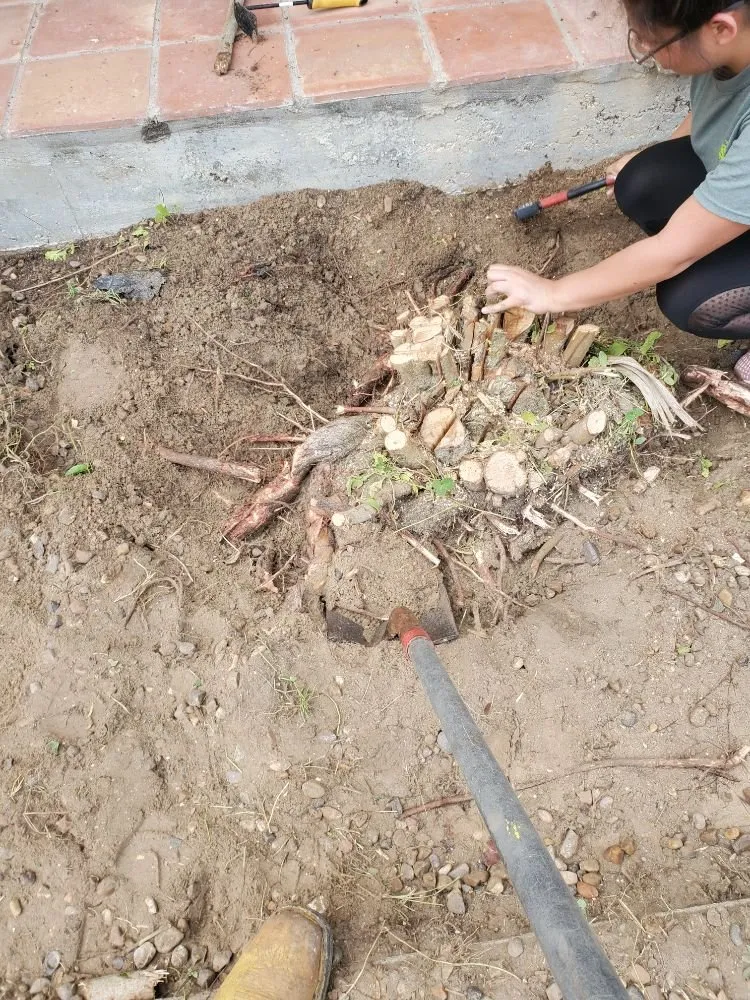 Custom residential landscaping in Port Isabel, TX by Urban Jungle Landscape Maintenance