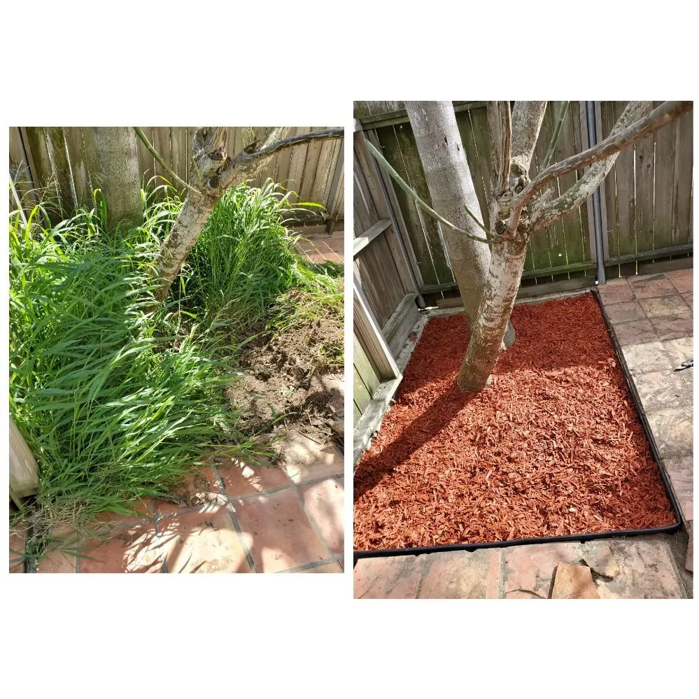 Reliable lawn care service for beautiful yards across Port Isabel, TX - Urban Jungle Landscape Maintenance