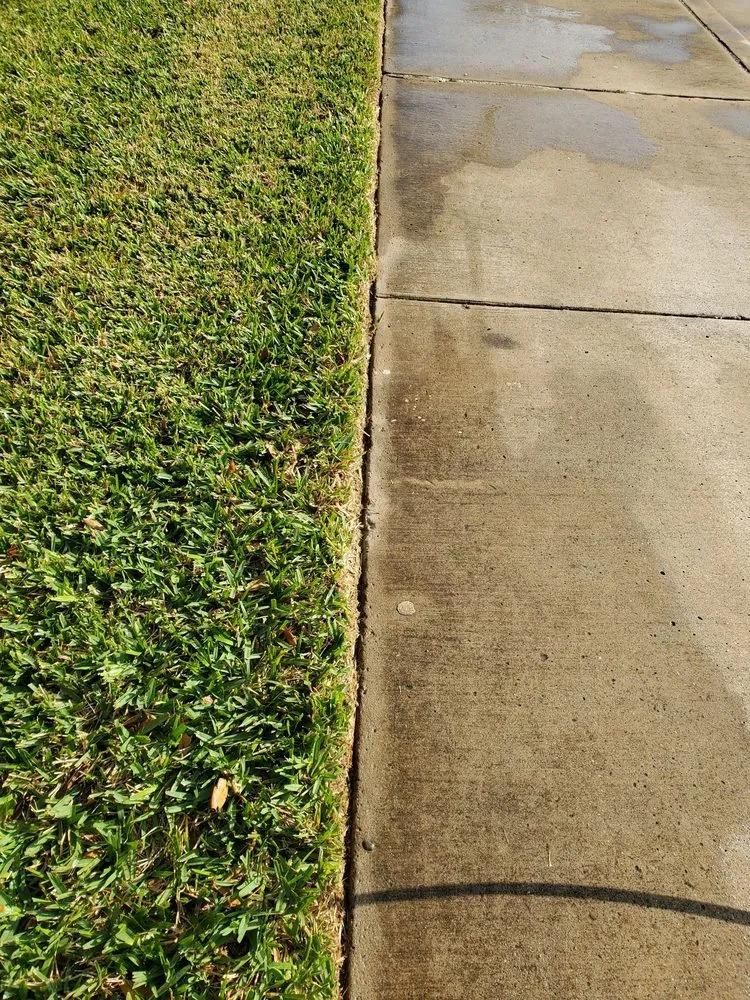 Affordable outdoor landscaping for outdoor upgrades in Port Isabel, TX by Urban Jungle Landscape Maintenance