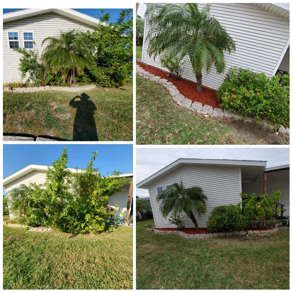 Top-rated lawn mowing service in Port Isabel, TX - Urban Jungle Landscape Maintenance