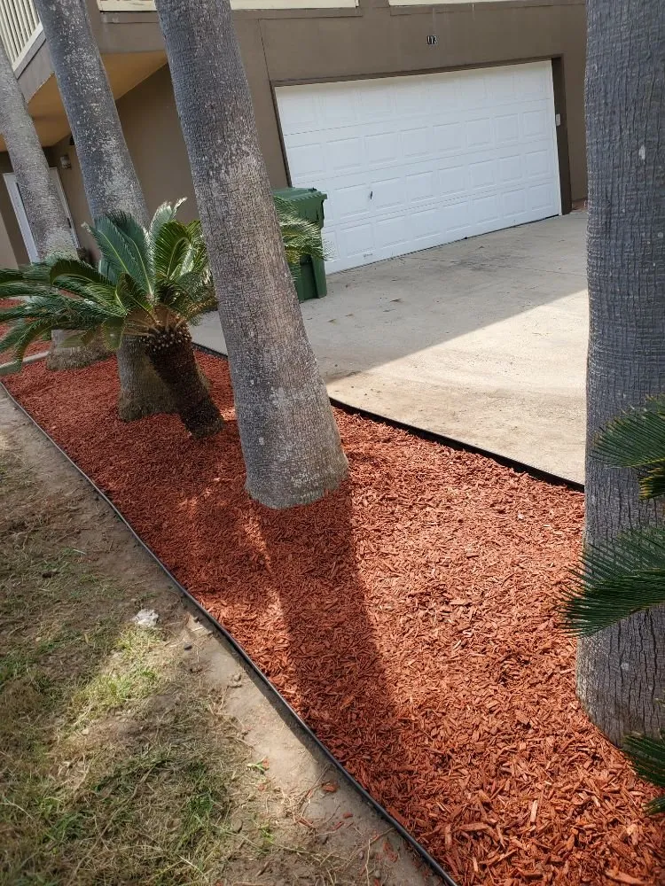 Expert landscape design experts serving Port Isabel, TX - Urban Jungle Landscape Maintenance