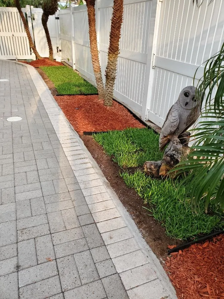 Expert outdoor landscaping for beautiful yards across Port Isabel, TX - Urban Jungle Landscape Maintenance