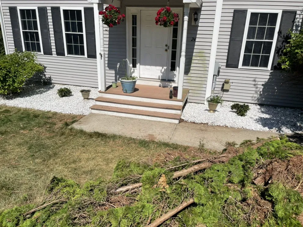 Reliable landscaping services experts serving Hudson, NH - Urban jungle landscaping