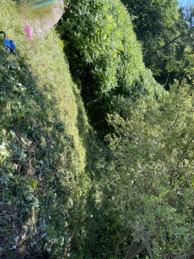 Affordable lawn mowing service experts serving Hudson, NH - Urban jungle landscaping