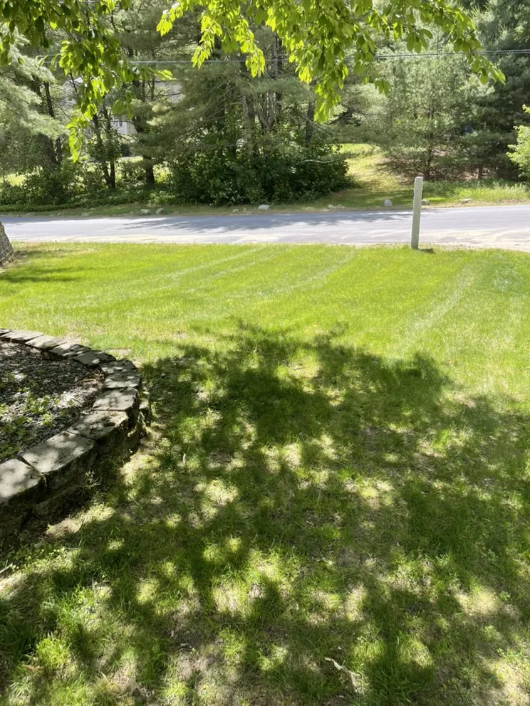 Trusted landscape design in Hudson, NH - Urban jungle landscaping