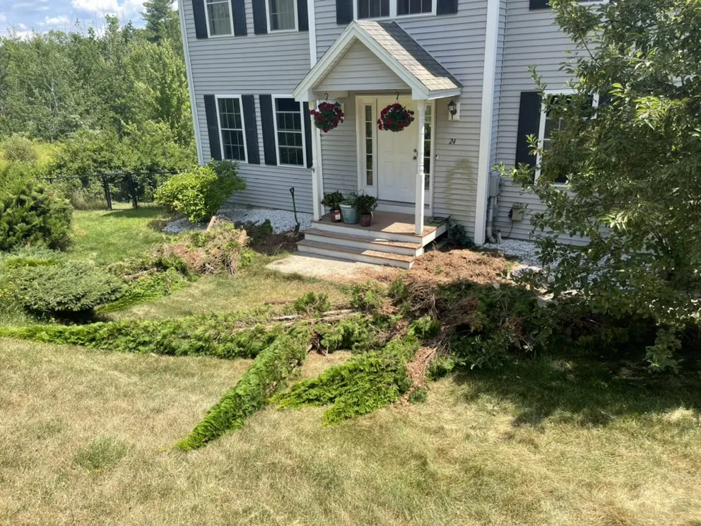 Top-rated yard cleanup service for residential properties in Hudson, NH by Urban jungle landscaping