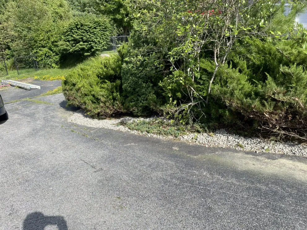 Expert landscaping services in Hudson, NH by Urban jungle landscaping