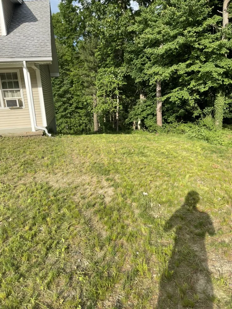 Professional residential landscaping in Hudson, NH - Urban jungle landscaping