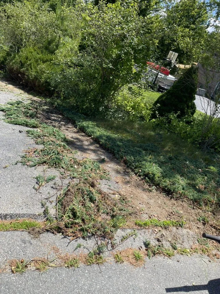 Local lawn mowing service experts serving Hudson, NH - Urban jungle landscaping