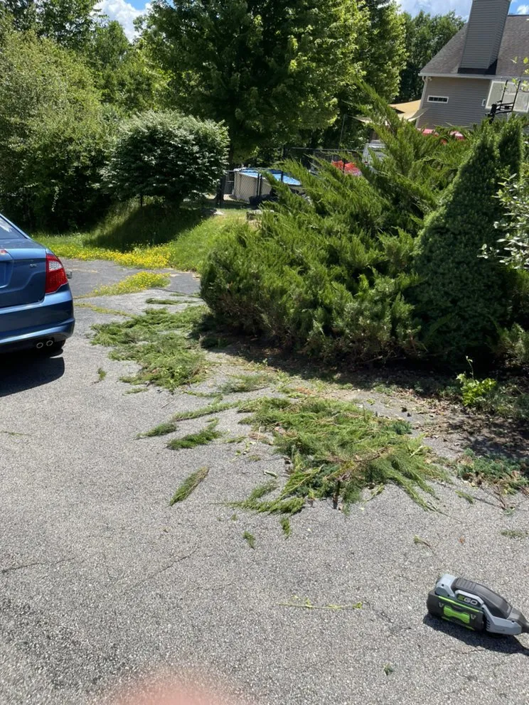 Affordable garden landscaping in Hudson, NH by Urban jungle landscaping