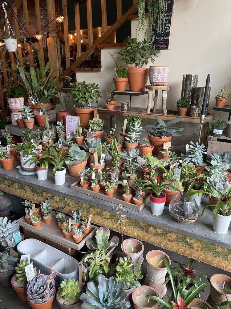 Professional yard cleanup service experts serving Philadelphia, PA - Urban Jungle