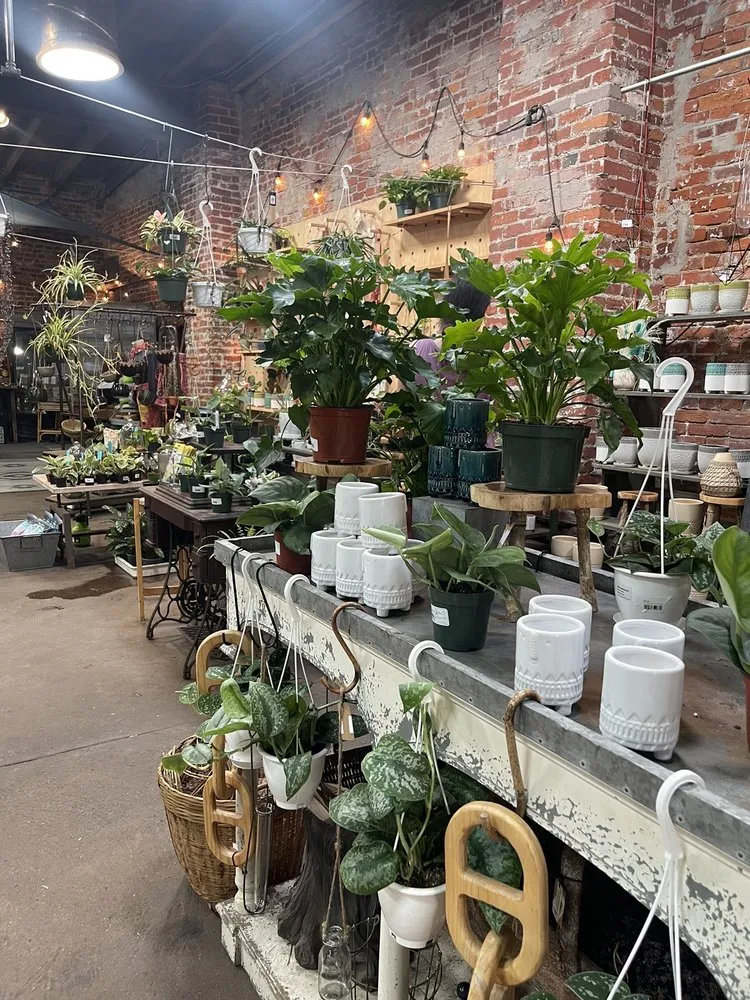 Professional yard cleanup service in Philadelphia, PA - Urban Jungle