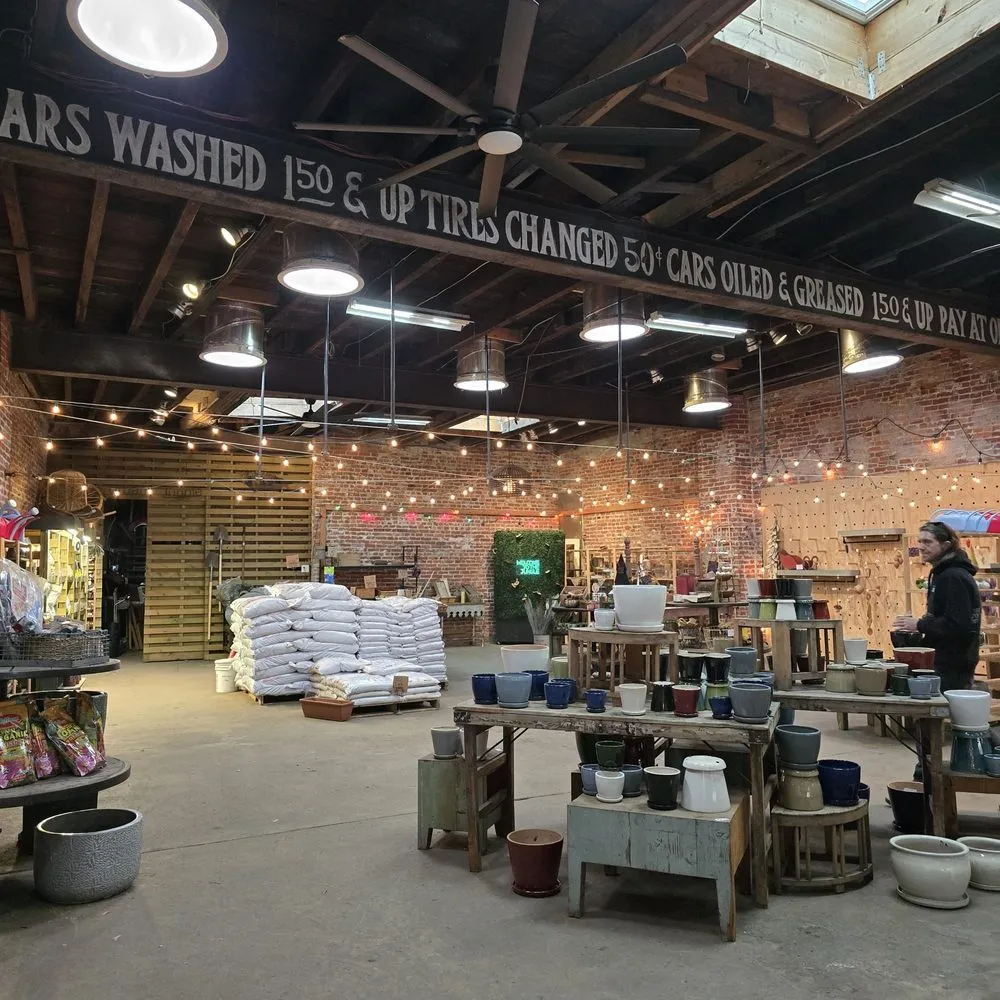 Affordable yard cleanup service for year-round maintenance across Philadelphia, PA - Urban Jungle