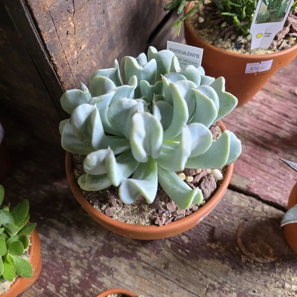 Top-rated residential landscaping in Philadelphia, PA - Urban Jungle