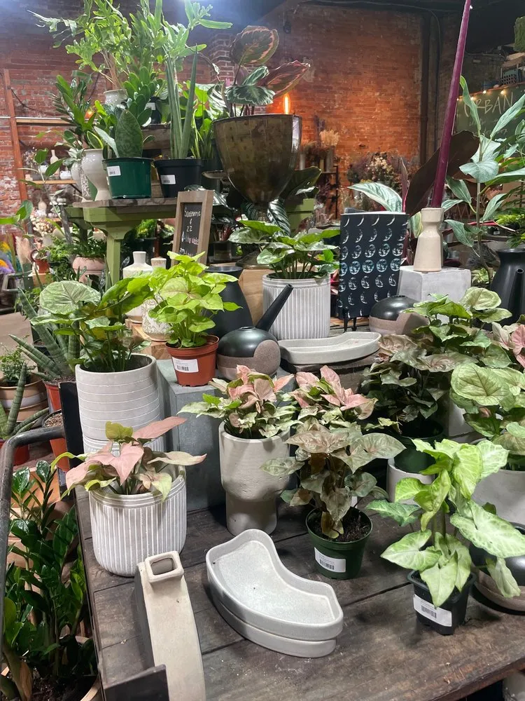 Trusted landscaping services experts serving Philadelphia, PA - Urban Jungle