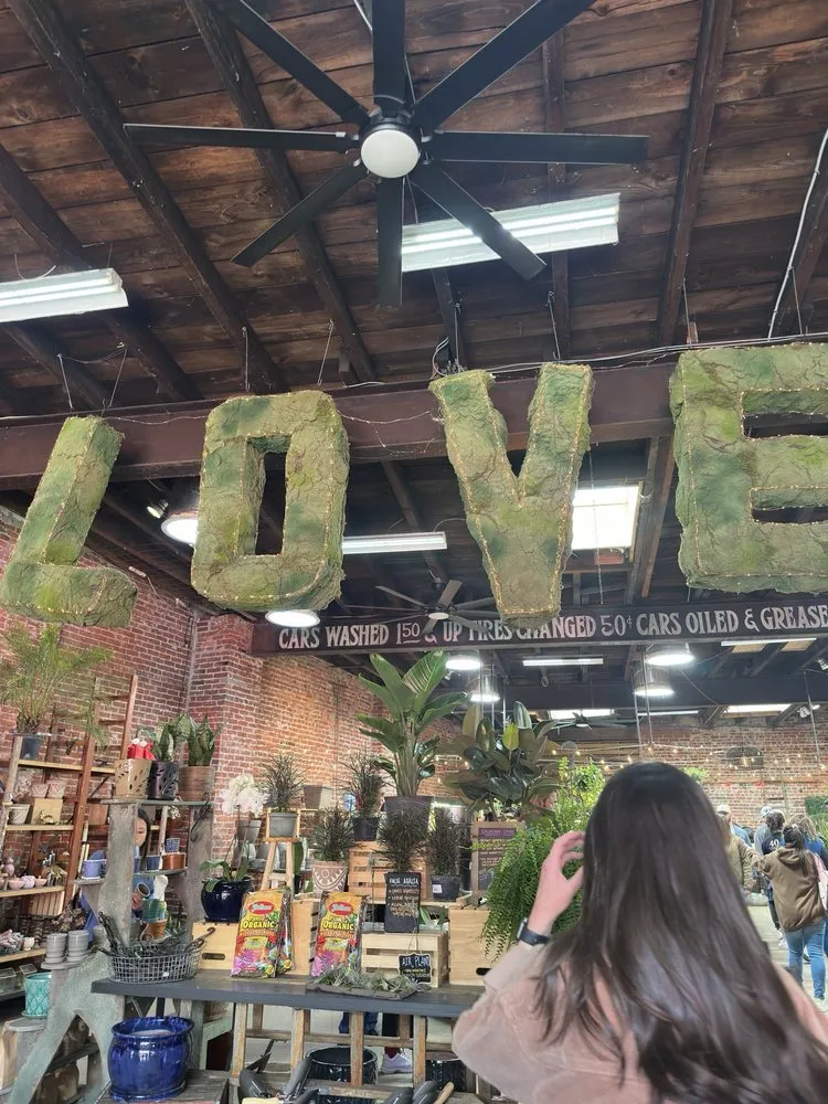 Professional landscaping services in Philadelphia, PA - Urban Jungle