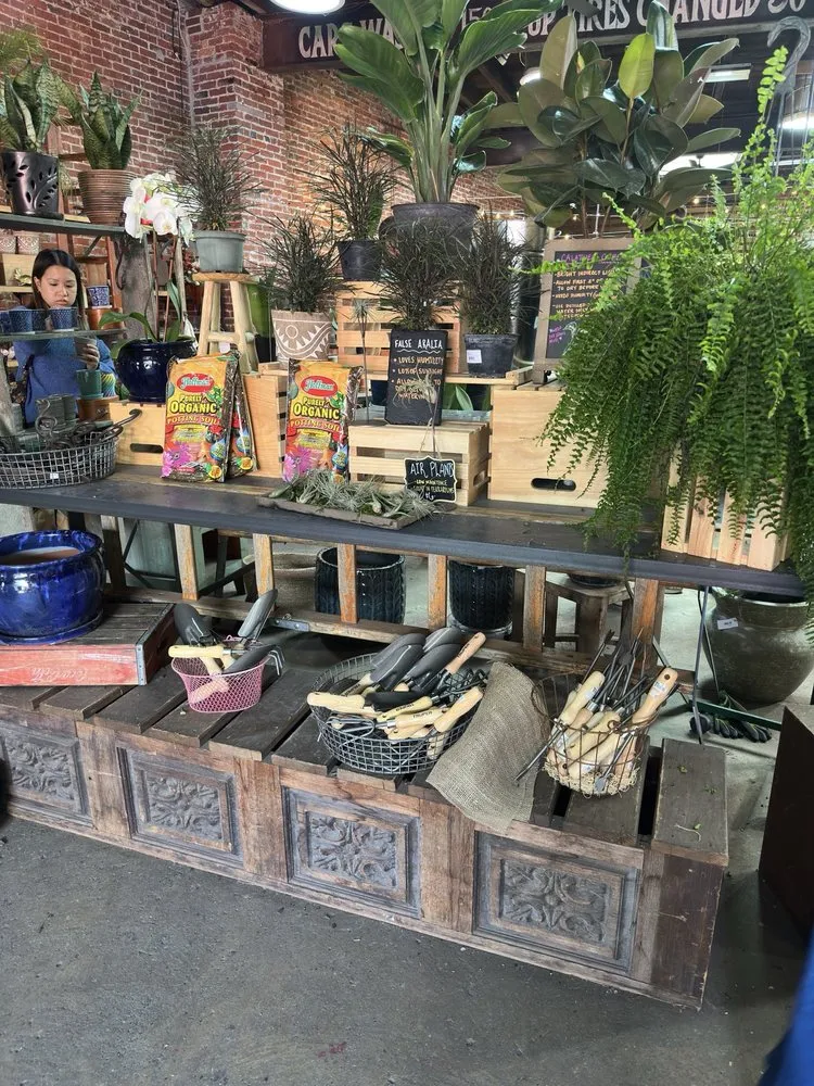 Top-rated outdoor landscaping in Philadelphia, PA by Urban Jungle