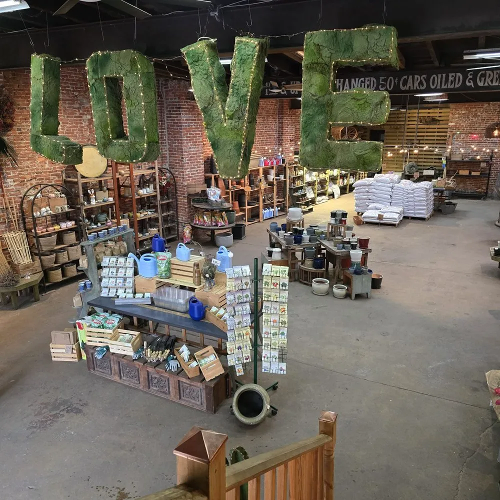 Local lawn mowing service in Philadelphia, PA - Urban Jungle