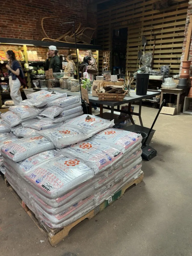 Reliable garden landscaping in Philadelphia, PA - Urban Jungle