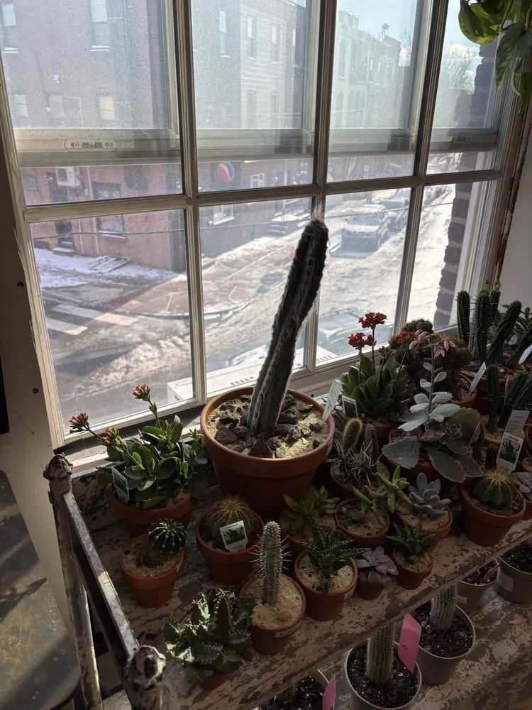 Custom lawn mowing service in Philadelphia, PA - Urban Jungle