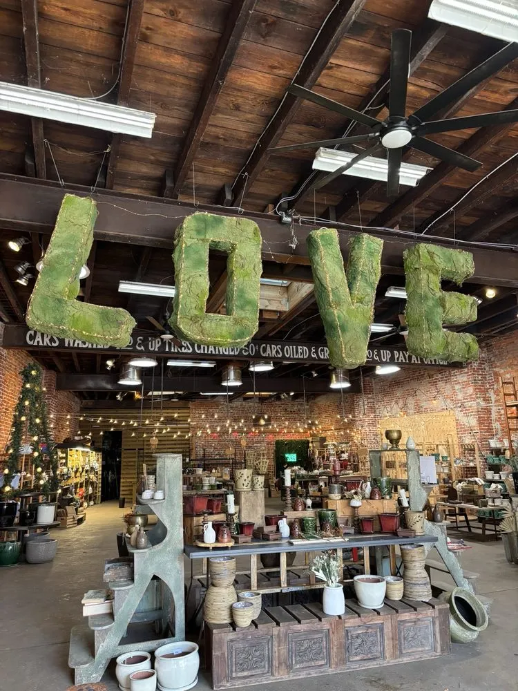 Top-rated yard cleanup service in Philadelphia, PA - Urban Jungle