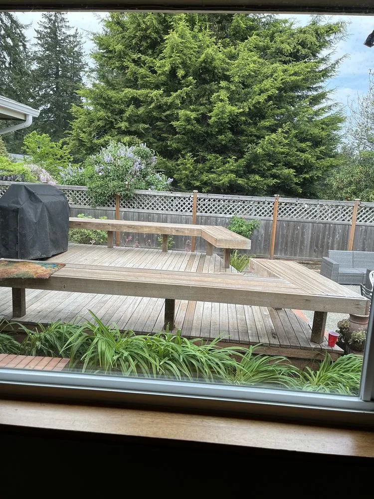 Reliable yard maintenance experts serving Seattle, WA - Urban Jungle