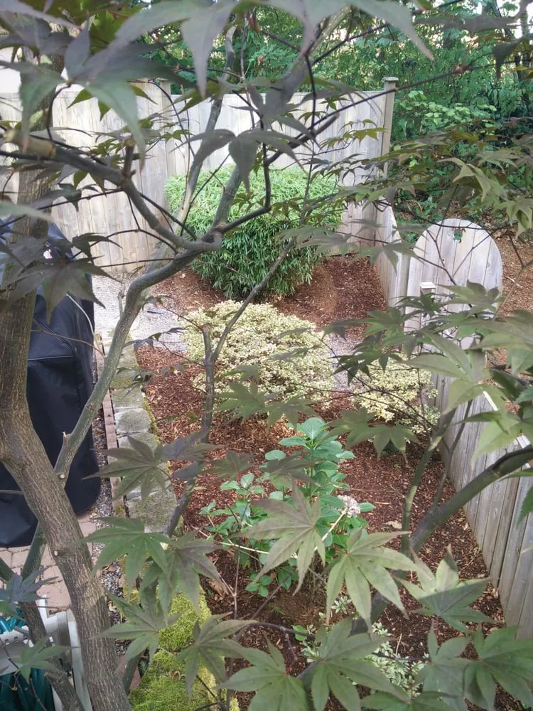 Professional outdoor landscaping for outdoor upgrades across Seattle, WA - Urban Jungle