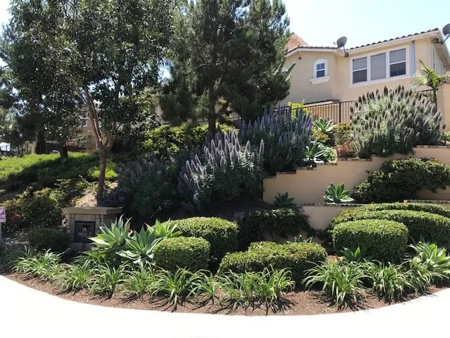 Reliable garden landscaping experts serving La Jolla, CA - Urban Landcare - La Jolla Commercial & Residential Landscape