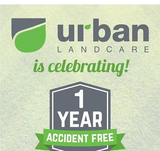 Local landscape installation for homes in La Jolla, CA by Urban Landcare - La Jolla Commercial & Residential Landscape