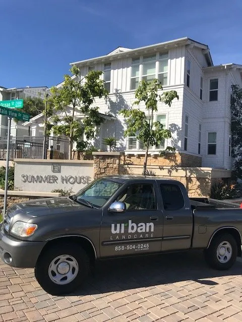 Top-rated yard cleanup service for homes across La Jolla, CA - Urban Landcare - La Jolla Commercial & Residential Landscape