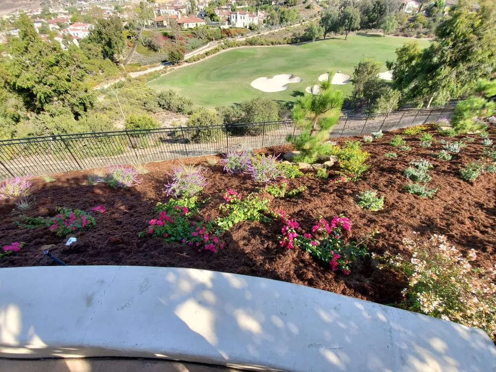 Affordable landscape installation in La Jolla, CA - Urban Landcare - La Jolla Commercial & Residential Landscape