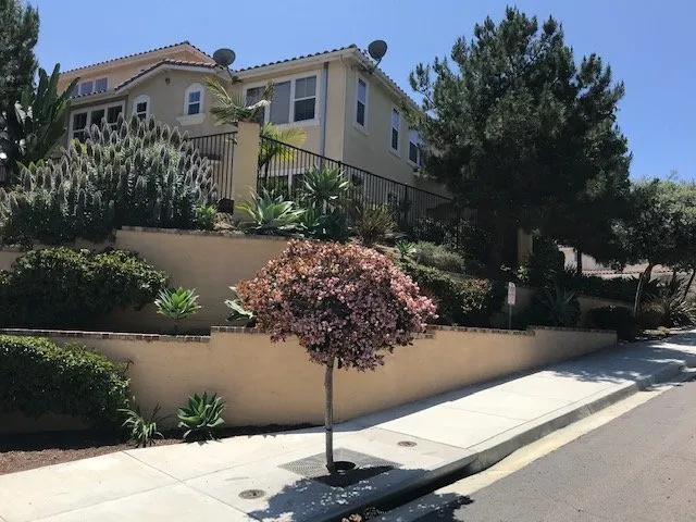 Affordable yard maintenance in La Jolla, CA - Urban Landcare - La Jolla Commercial & Residential Landscape