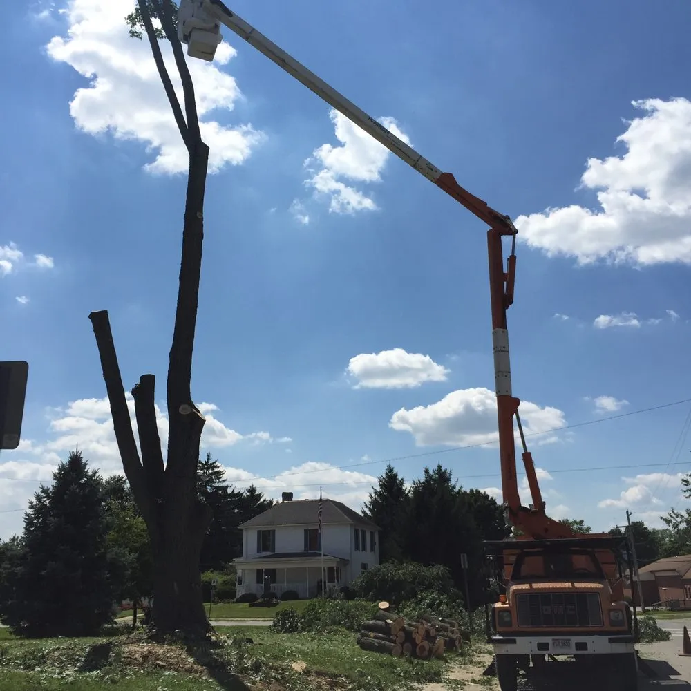 Reliable yard maintenance experts serving Columbus, OH - Urban Landscape & Tree Specialist