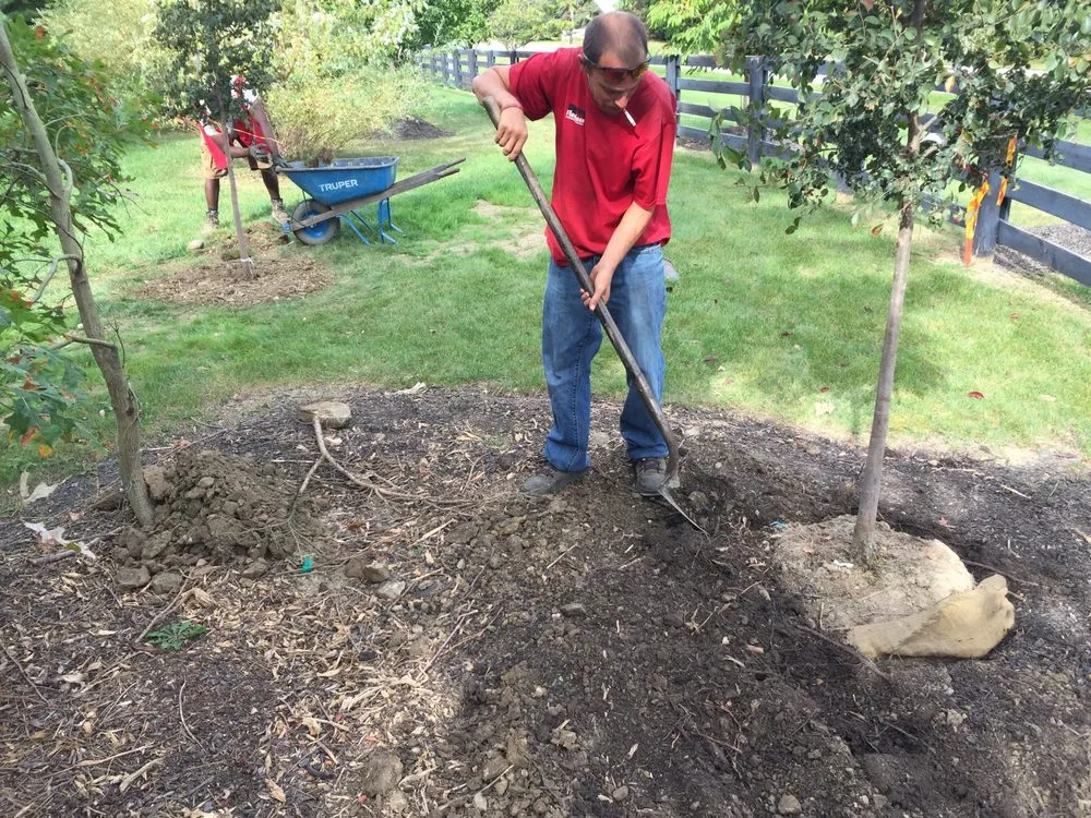 Top-rated lawn mowing service experts serving Columbus, OH - Urban Landscape & Tree Specialist