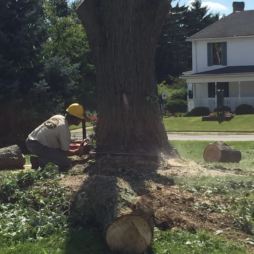 Expert landscaping services in Columbus, OH - Urban Landscape & Tree Specialist