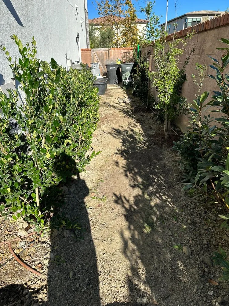 Local yard cleanup service in Newport Beach, CA by Urban Landscape