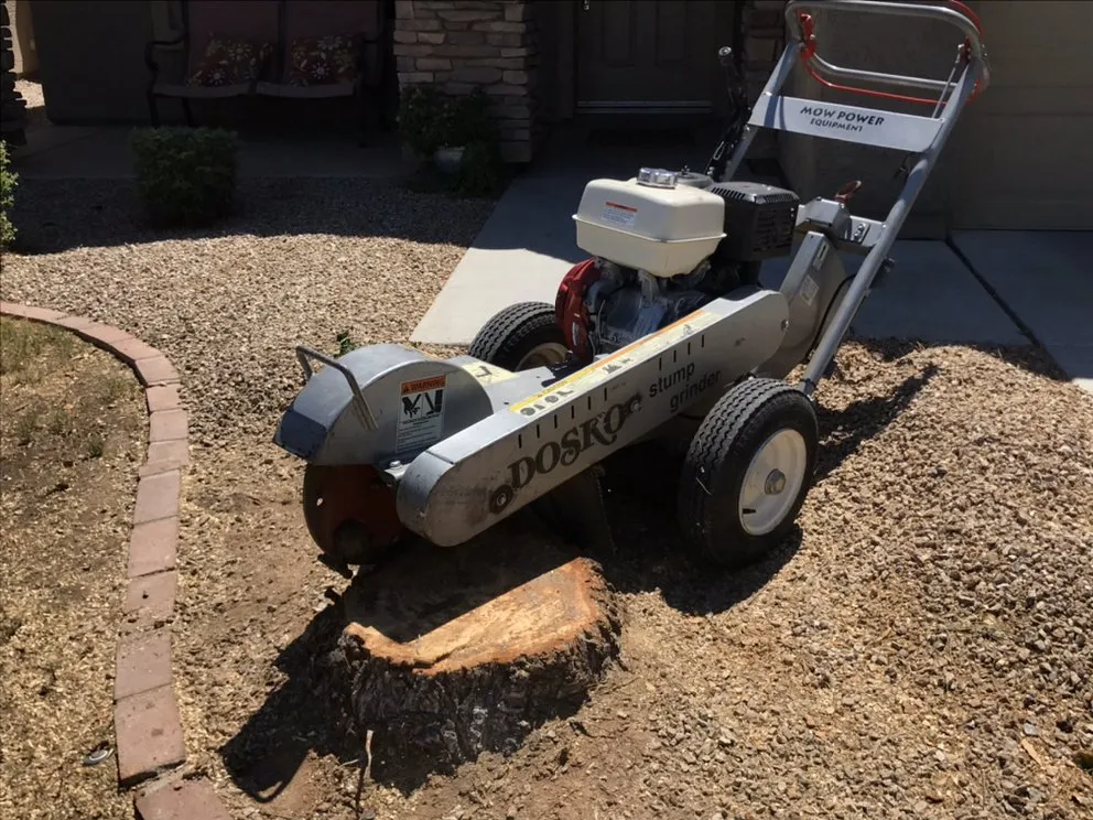 Local lawn mowing service in Mesa, AZ - Urban Landscape Pros